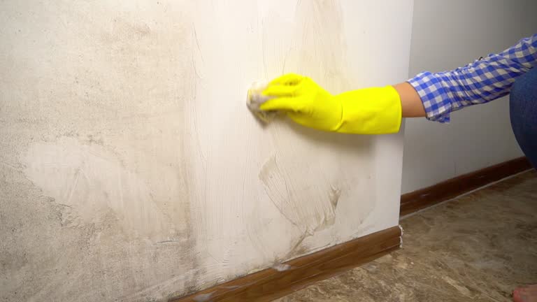 Best Water Damage & Mold Remediation  in Suwanee, GA